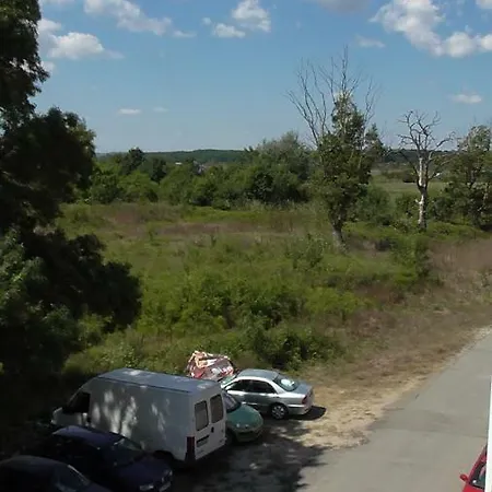 Daire флора - гр.приморско ммц Primorsko