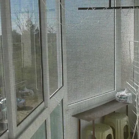 Daire флора - гр.приморско ммц Primorsko