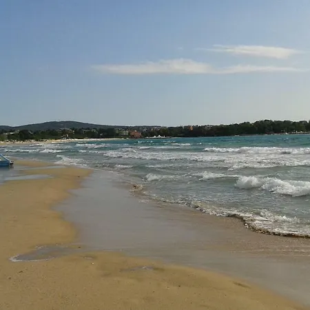 Daire флора - гр.приморско ммц