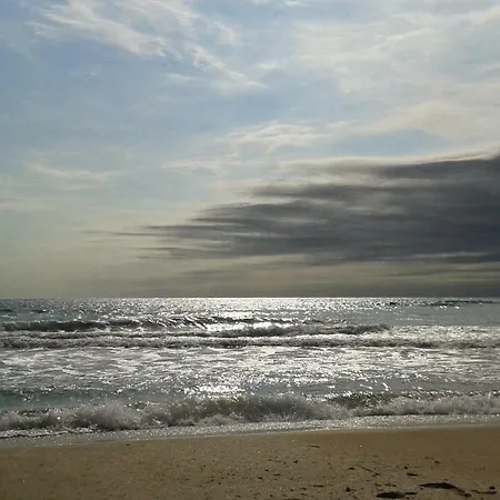 флора - гр.приморско ммц Daire