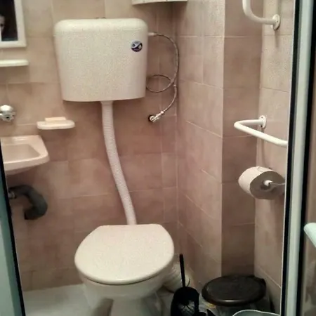 Daire флора - гр.приморско ммц Primorsko