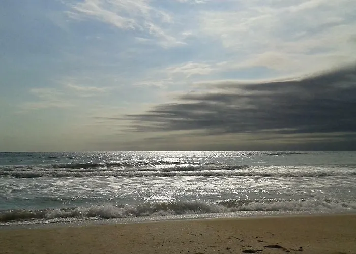 флора - гр.приморско ммц Appartement